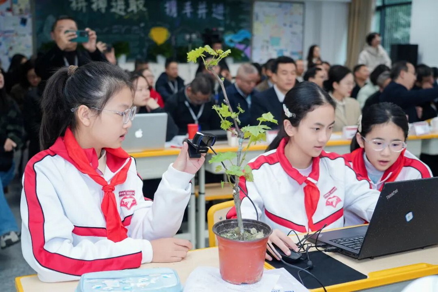 微信图片_2025-12-11_171154_504_调整大小.jpg