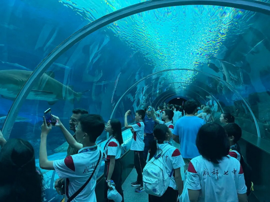 微信图片_2026-05-07_153618_102_调整大小.jpg
