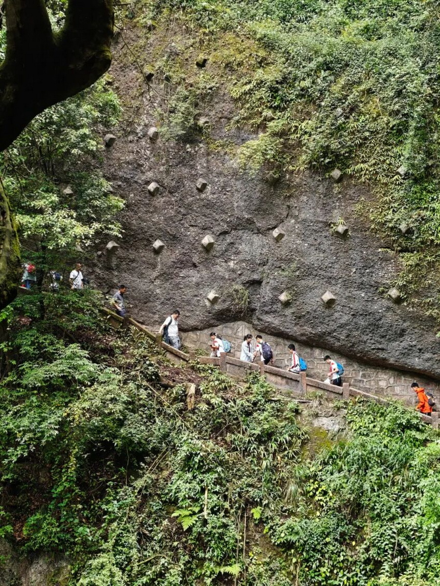 微信图片_2026-06-22_152555_490_调整大小.jpg