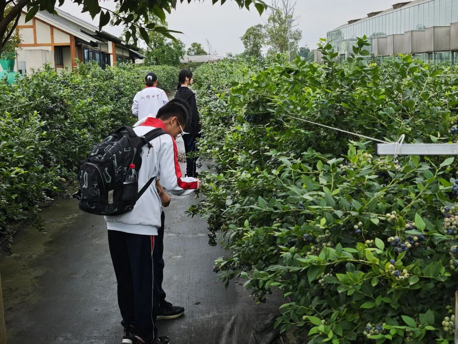 微信图片_2026-06-22_160236_164_调整大小.jpg