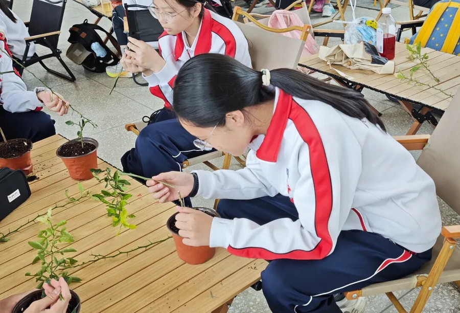 微信图片_2026-06-22_160246_369_调整大小.jpg