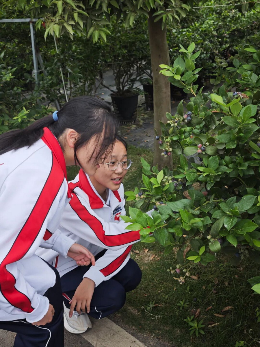 微信图片_2026-06-22_160241_365_调整大小.jpg