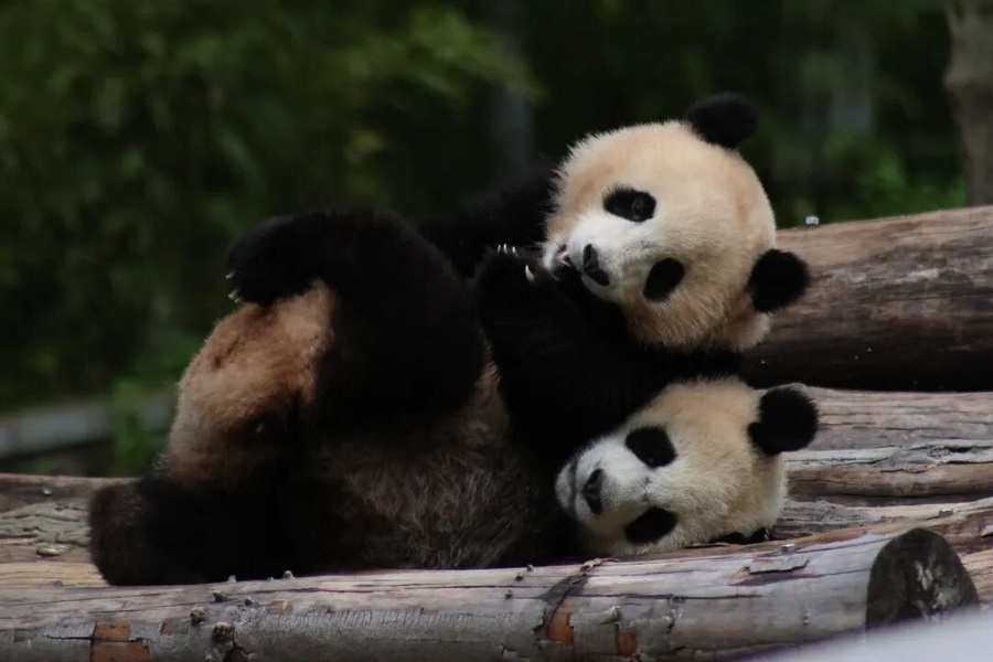 微信图片_2026-06-22_160912_065_调整大小.jpg
